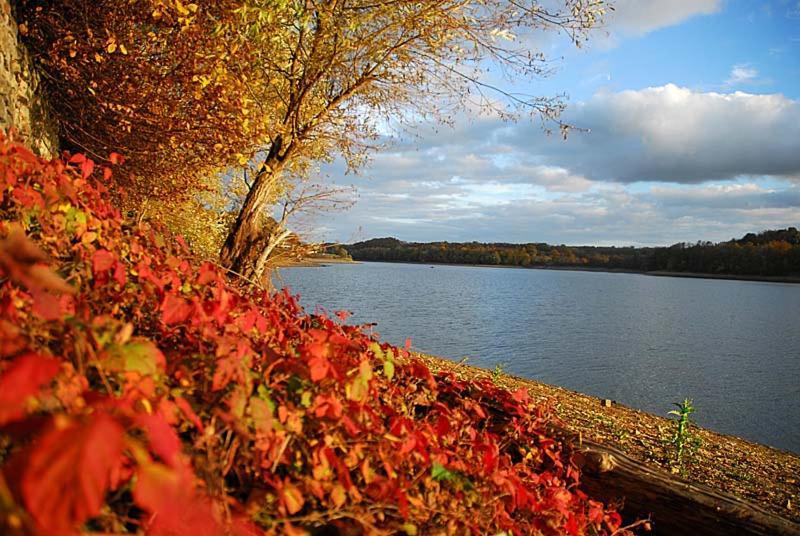 Maison Bord De Lac De Charmes Bannes  Esterno foto